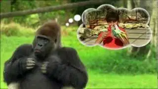 Zoo Miami - Keepin' It Wild!