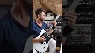 chitarra nuova 🔥 #metal #killswitchengage #reels #numetal