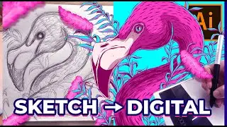 Flamingo Illustration - Drawing From Sketch and Vectoring in Adobe Illustrator