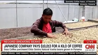 Coffee for $10,000 a kg (2.2 lbs)