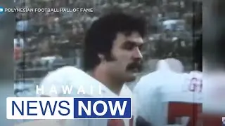 Russ Francis, former Super Bowl champ and KGMB sports director, dies in NY plane crash