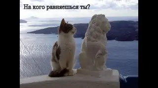 На кого равняешься ты?