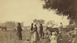 WEBE Gullah/Geechee #6-Land of 40 Acres & a Mule