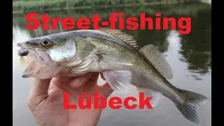 Streetfishing in Lübeck #1 |  Kleine Zander an der Trave