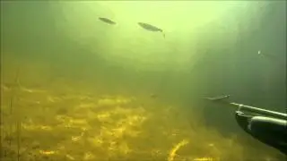 Нура Ульяновка 26.07.2015