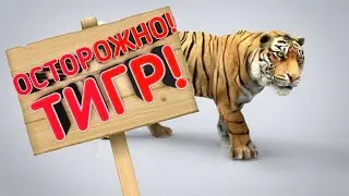 Why can't I watch 3D animals from Google?! THE ANSWER IS THERE! What to do in quarantine?!