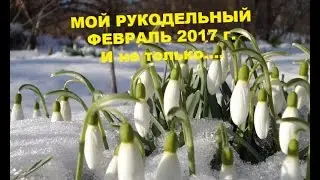 МОЙ РУКОДЕЛЬНЫЙ ФЕВРАЛЬ 2017 г/И не только....