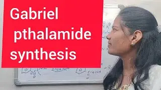 Gabriel pthalamide synthesis class 12 th||preparation of primary amines Gabriel pthalamide reaction