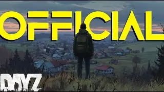 A PERFECT Adventure on OFFICIAL DayZ