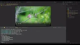 Testing CLI Video editor