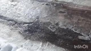 Дождались!!! ВЕСНА!