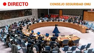 ONU: EL CONSEJO de SEGURIDAD debate sobre la SITUACIÓN en UCRANIA | RTVE Noticias
