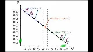 Why Elasticity Differs on Linear Demand (no math)
