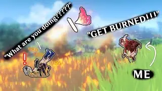 I SET GENSHIN PLAYERS ON FIRE