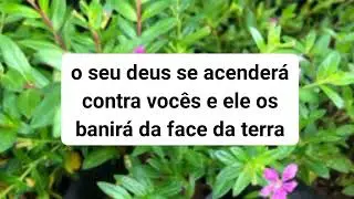 Exortação à Obediência, Deuteronômio 6:10-25