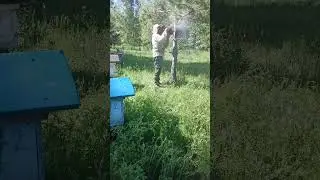 роение