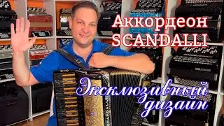 Супер аккордеон с индивидуальным дизайном Scandalli с микрофонами Harmonika (Brasilia)