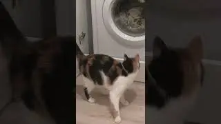Не, ну если это не шедевр, то что? 