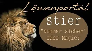 STIER ♉ ✖ 