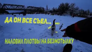 плотва на безмотылку 2022 шок он все съел?!