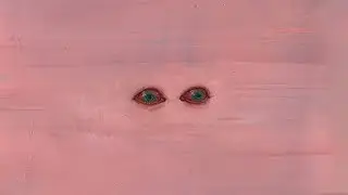 d e g e n e r a c y