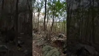 Спят усталые игрушки, оккупанты спят.