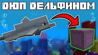 ДЮП ВСЕХ вещей при помощи ДЕЛЬФИНА | Minecraft [1.13.1 - 1.16.5]