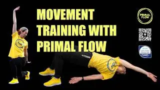 Great bodyweight training system - Primal Flow