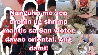nang hinas ug nanguha me shrimp mantis ug sea sea orchin sa San victor.#sanvictor #davaooriental