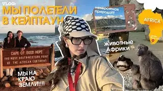КЕЙПТАУН: африканские приключения на краю земли // ЮАР  🌺🦓🇿🇦