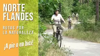 FLANDES / Norte de Bélgica. Senderismo y rutas en bicicleta. Turismo familiar