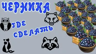 КЛОНДАЙК ГДЕ ВЗЯТЬ ЧЕРНИКУ