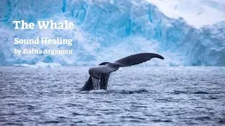 The whale - Sound Healing by Dafna Argaman