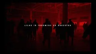 Lilas ir Innomine su orkestru - Kai tu žengi gūžiasi Vilnius - LIVE