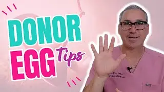 Using An Egg Donor: What You Need To Know To Get Pregnant with Egg Donation