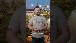 Weihnachtsbaum oder Keinachtsbaum? 🎄👀 