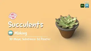 Succulents, Speed Modeling & Painting, 3D Maya, Substance 3d Painter