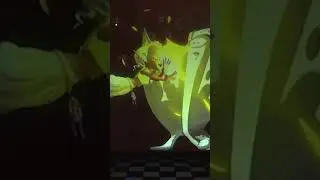The Nintendo Live Concert in a Nutshell
