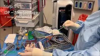 GeSRU Allium Implantation DGU 2022