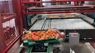 STAS Palletizer