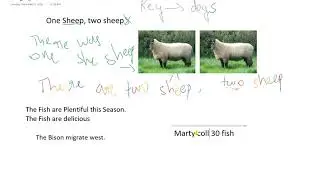 The Irregular plural Base Plurals Part 3 | English