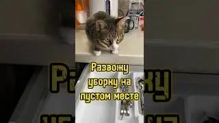 Могу, умею, практикую 💪🏻 