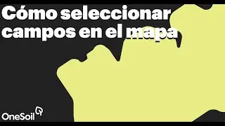 Cómo seleccionar campos en el mapa