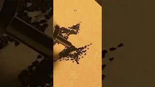 🎞️🍒✩°｡⋆ 