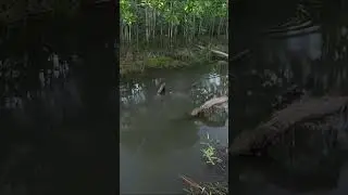 Ela queria muito essa isca