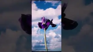 CAKEBOY - Компромисс (snippet) #shorts