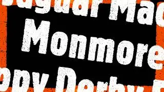 Monmore Puppy Derby Final 2021