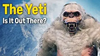 The Yeti, Is It Out There?