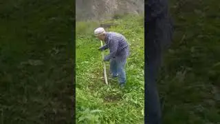 13 сентября 2024 г.