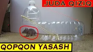 PIRKOL UZBEKCHA /QANDAY QILIB CHICHQON TUTISH MUMKIN